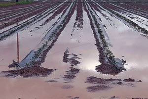 αγροτικα αποζημιώσεις