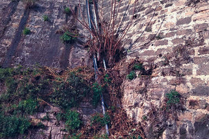 3 Πέρασαν τρία χρόνιa από τη δημοπράτηση κι ακόμα δεν συμβασιοποιήθηκε!