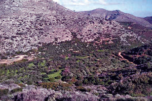 Ο χώ́ρος της χωμάτινης, Λιμνοδεξαμενής στις Χοχλακιέ́ς