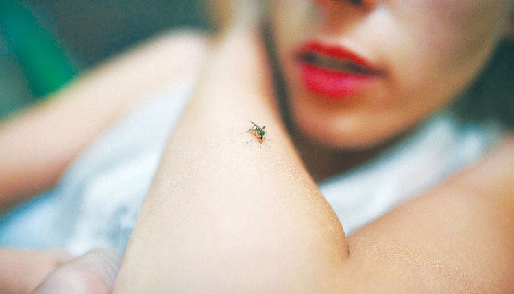 Τα κουνούπια ελκύουν αρώματα λουλουδιών, αποστρέφονται όμως τη μυρωδιά της καρύδας