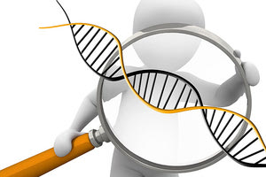 DNA - χρωμοσώματα