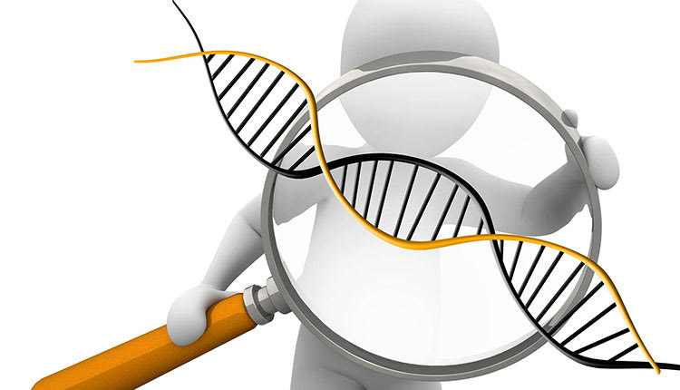DNA - χρωμοσώματα