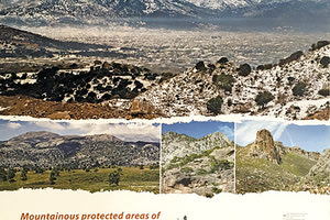 Ανάβαση-διαμαρτυρία του Ε.Ο.Σ. Λασιθίου