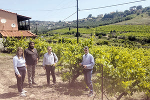 Αυτοψία αντιπεριφερειάρχη Ειρήνης Χουδετσανάκης σε αμπέλια και λιόφυτα