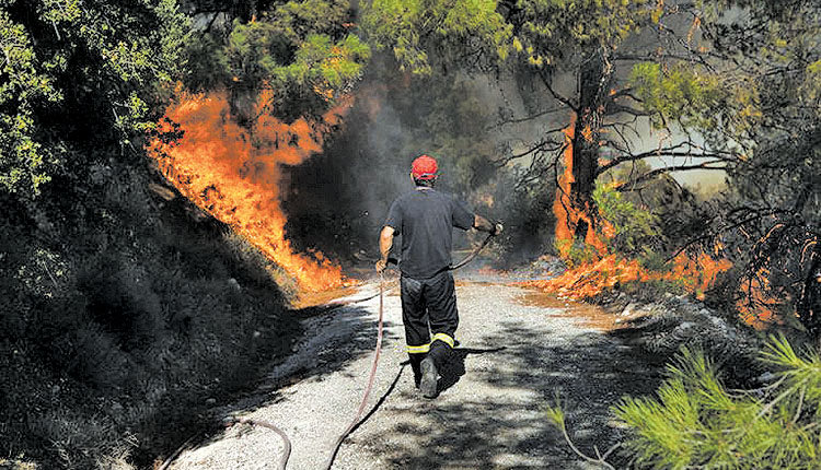 πυρκαγια φωτια αντιπυρικες ζωνες