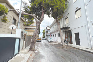 μασταμπας εκπεμπει σος απο τα δεντρα