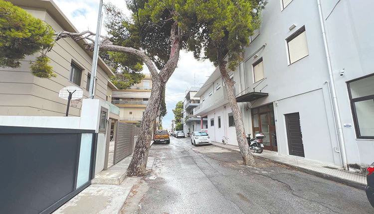 μασταμπας εκπεμπει σος απο τα δεντρα