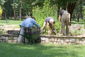 Το πράσινο δίνει χρόνια ζωής