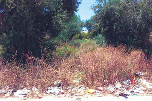 Την ίδια ώρα που βρίσκεται σε εξέλιξη η μεγάλη παρέμβαση ανάπλασης για τη διαμόρφωση του πάρκου Ερυθραίας, δίπλα ακριβώς υπάρχουν δημοτικές εκτάσεις γεμάτες ξερόχορτα και σκουπίδια, με τις οποίες κανείς δεν σκέφθηκε να ασχοληθεί για να καθαριστούν