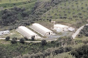 Χάρη στην ενεργή συμμετοχή και αδιάλειπτη προσφορά των εθελοντών σώζονται δεκάδες ζωάκια στο κυνοκομείο