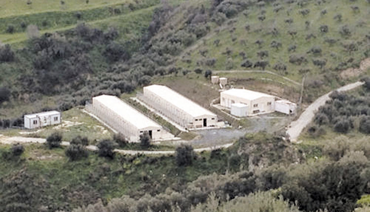 Χάρη στην ενεργή συμμετοχή και αδιάλειπτη προσφορά των εθελοντών σώζονται δεκάδες ζωάκια στο κυνοκομείο
