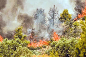 Πέντε πυρκαγιές χθες στο νησί