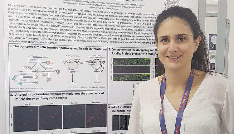 Η δρ Ιωάννα Δασκαλάκη 