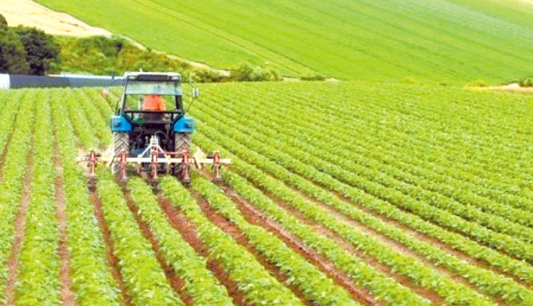 Ανθεκτικότητα των συστημάτων τροφίμων και γεωργίας της Ε.Ε.