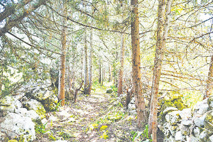 Εξορμήσεις από τους Ορειβατικούς Συλλόγους