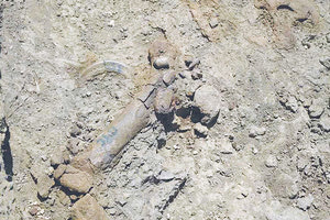 Τα απολιθωμένα οστά περισσότερων από δέκα νάνων ιπποπόταμων εντοπίστηκαν στο Οροπέδιο του Καθαρού, στο πλαίσιο ανασκαφής από το Πανεπιστήμιο Αθηνών και συγκεκριμένα το Τμήμα Γεωλογίας και Γεωμορφολογίας, με επικεφαλής τον δρ. Γιώργο Αναστασάκη.