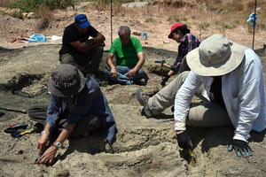 Εντυπωσιακή ανακάλυψη στο Οροπέδιο Καθαρού