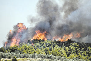 Αττική: Απροετοίμαστοι δέκα δήμοι στην πύρινη απειλή