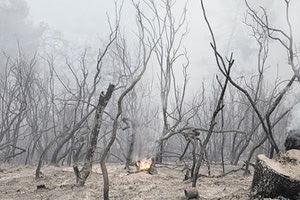 Αμφίδρομη η σχέση των πυρκαγιών με την κλιματική κρίση… Και αυτό διότι οι πυρκαγιές είναι και απόρροια της κλιματικής κρίσης, αλλά ταυτόχρονα οι πυρκαγιές πυροδοτούν την κλιματική κρίση