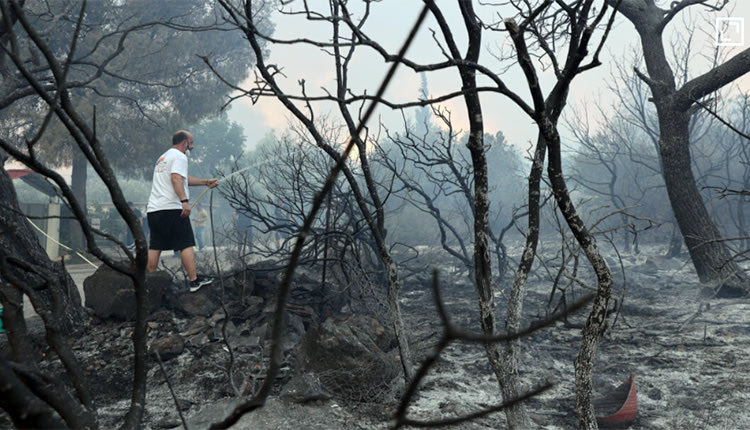 ΠΕΡΙΒΑΛΛΟΝΤΙΚΟΣ ΣΥΝΑΓΕΡΜΟΣ ΑΠΟ ΤΙΣ ΜΕΓΑΛΕΣ ΠΥΡΚΑΓΙΕΣ Φλεγόμενο τοπίο, νεκρή φύση