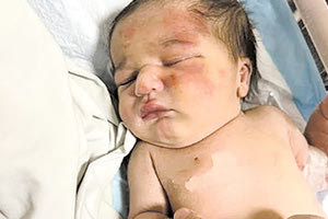 ΤΡΙΠΟΛΗ ΛΙΒΑΝΟΥ : ΣΚΥΛΟΣ ΕΣΩΣΕ ΒΡΕΦΟΣ