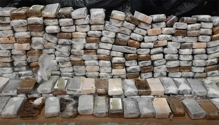 Σε... τούβλα είχαν την κάνναβη τα μέλη του κυκλώματος 