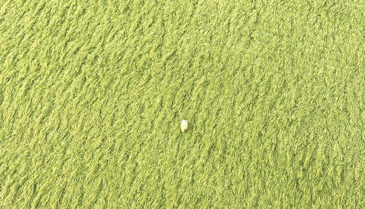 Η σφαίρα έπεσε μέσα στο γήπεδο