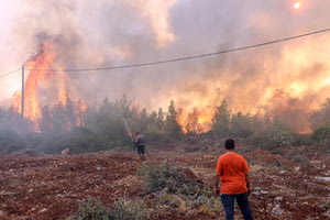 Σε ετοιμότητα ο Οργανισμός Ελληνικών Γεωργικών Ασφαλίσεων