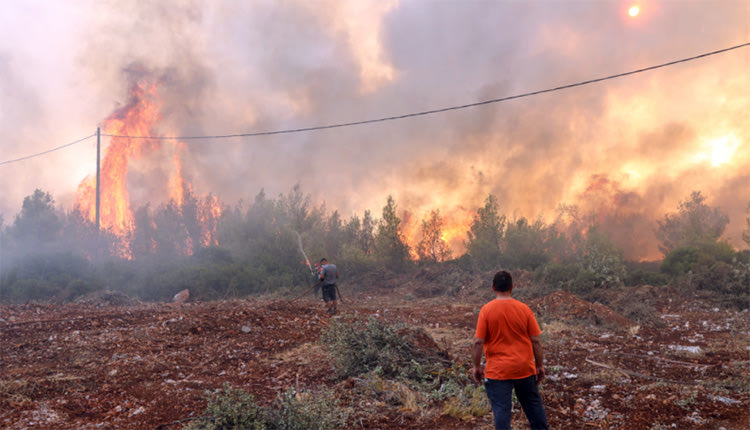 Σε ετοιμότητα ο Οργανισμός Ελληνικών Γεωργικών Ασφαλίσεων