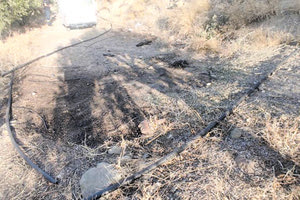 Παρά τις προειδοποιήσεις κάποιοι δεν βάζουν μυαλό...