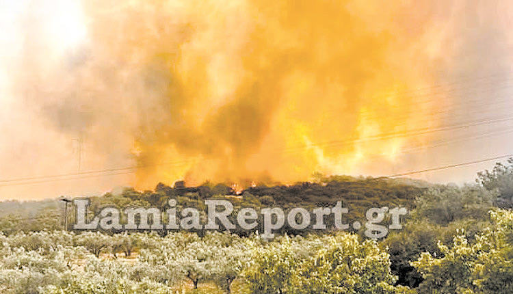 ΛΑΜΙΑ ΠΥΡΚΑΓΙΑ