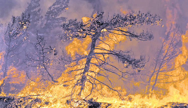 Φλέγεται ο πλανήτης