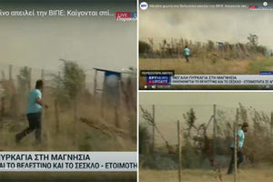 Η ΕΡΤ κατέγραψε στα πλάνα της τον 45χρονο κτηνοτρόφο, τον δεύτερο νεκρό από τη φωτιά στη Μαγνησία χθες (νωρίτερα βρέθηκε απανθρακωμένη μια ανάπηρη γυναίκα μέσα στο τροχόσπιτό της) την ώρα που ορμούσε ατρόμητα μέσα στις φλόγες σχεδόν, για να πάει στο μαντρί του, να σώσει τα ζώα του.