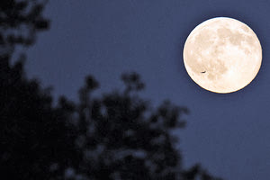 ΤΙ ΟΡΓΑΝΩΝΕΙ ΤΟ ΥΠΠΟΑ ΣΤΗΝ ΚΡΗΤΗ Εκδηλώσεις σε αρχαιολογικούς χώρους …στα δύο φεγγάρια του Αυγούστου