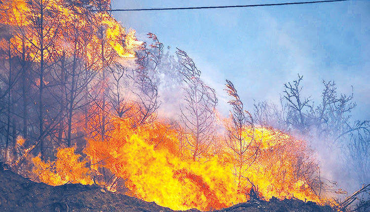 Προκαταρκτική εξέταση 
διατάχθηκε από τον εισαγγελέα 
για τις φωτιές στη Μαγνησία