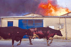 Προκαταρκτική εξέταση διατάχθηκε από τον εισαγγελέα για τις φωτιές στη Μαγνησία