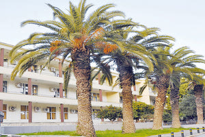 Παρέμβαση για τα προβλήματα του Βενιζελείου πραγματοποίησε και ο Ιατρικός Σύλλογος Ηρακλείου