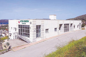 Ελεύθερες είναι οι ιδιοκτήτριες του γηροκομείου