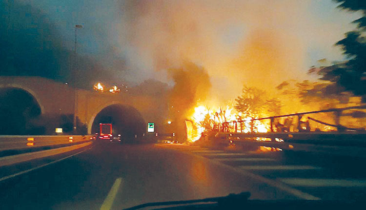 Τεράστιες εκτάσεις στη Μεσόγειο έχουν καταστραφεί από τις φωτιές