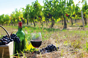 οινοστάφυλα