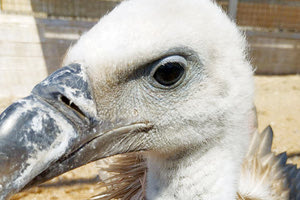 «Δεν είναι παραδεκτό να χάνουμε τα καλοκαίρια τόσο μεγάλο αριθμό»