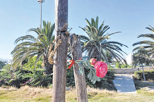 ΜΑΡΤΙΝΕΓΚΟ ΒΑΝΔΑΛΙΣΜΟΣ