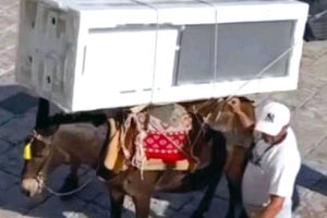 Σοκάρουν οι φωτογραφίες που κάνουν τον γύρο του διαδικτύου