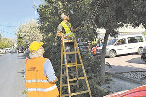 Δράσεις πρασίνου στην Αμμουδάρα