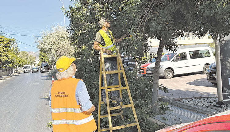 Δράσεις πρασίνου στην Αμμουδάρα