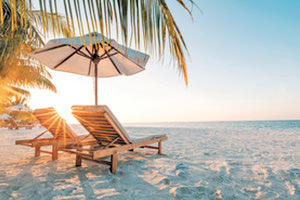 Το πρόγραμμα θα ξεκινήσει από σήμερα, Τρίτη 8 Αυγούστου 2023, και θα ολοκληρωθεί στις 7 Αυγούστου 2024