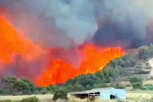 Εξακολουθεί να καίει τα πάντα η φωτιά στην Αλεξανδρούπολη