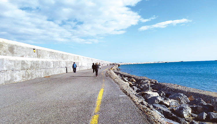 Η ΝΕΑ ΜΕΛΕΤΗ ΓΙΑ ΤΟ ΛΙΜΑΝΙ
Μεγαλώνει η “λεωφόρος by-pass!”