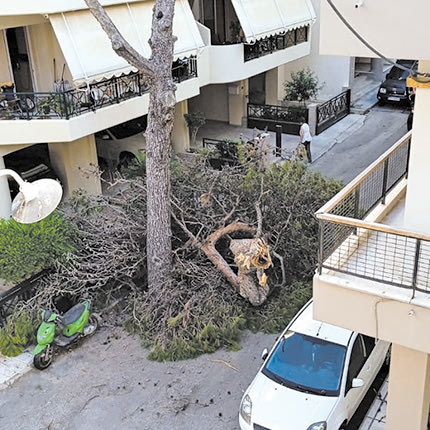 Τα δέντρα συνεχίζουν να... πέφτουν!