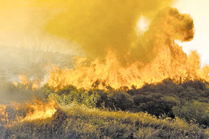 ΣΤΙΣ ΦΛΟΓΕΣ ΕΒΡΟΣ, ΒΟΙΩΤΙΑ, ΕΥΒΟΙΑ Απώλειες στα πύρινα μέτωπα